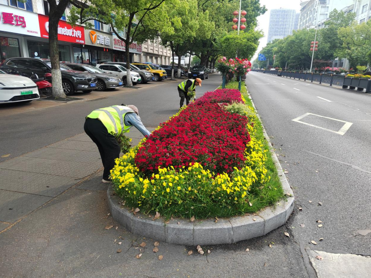 33656779.png image.png